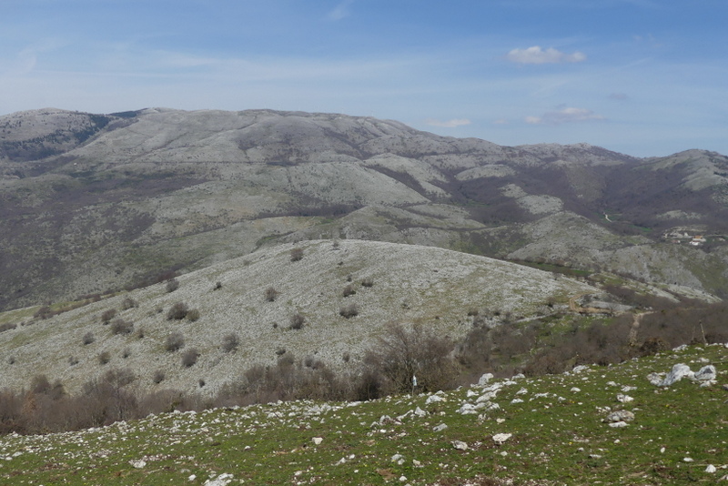 Dactylorhiza romana e prime fioriture tra Lazio e Campania - marzo 2023.